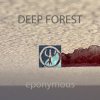 封面 Deep Forest - Night Bird Deep Forest - Night Bird