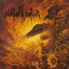 封面 Nokturnal Mortum - Печаль родных земель Nokturnal Mortum - Печаль родных земель
