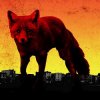 Cover The Prodigy - Medicine The Prodigy - Medicine