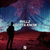 封面 Ryllz - I Gotta Know Ryllz - I Gotta Know