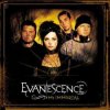 封面 Evanescence - My Immortal (Band Version) Evanescence - My Immortal (Band Version)