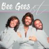 封面 Bee Gees - The Bridge Bee Gees - The Bridge