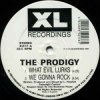 Cover The Prodigy - Minefields (Headrock Dub) The Prodigy - Minefields (Headrock Dub)