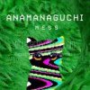 封面 Anamanaguchi - Echobo Anamanaguchi - Echobo