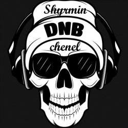 封面 Drumsound & Bassline Smith - Pump It Up