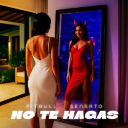 封面 Pitbull & Sensato - No Te Hagas