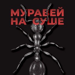 封面 KRBK - Муравей на суше