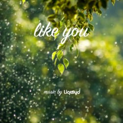 封面 LiQWYD - Like You