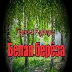 封面 группа Курнуц - Белая береза