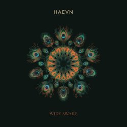 封面 HAEVN & Lily Meola - Till the Morning