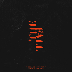 封面 Tommee Profitt & Sam Tinnesz - Daylight