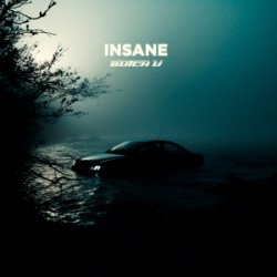 封面 Butch U - Insane