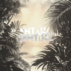 封面 Repsaj - MONTAGEM CONTIGO (Speed Up)