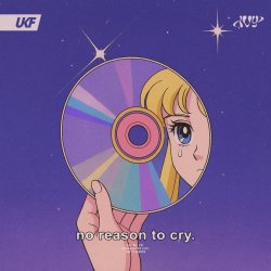 封面 [IVY] - no reason to cry