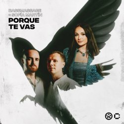 封面 BASSMASSAGE & Sofía Martín - Porque Te Vas