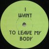 封面 Green Velvet - I Want To Leave My Body Green Velvet - I Want To Leave My Body