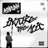 封面 Ashdunn - Injure The Mic Ashdunn - Injure The Mic