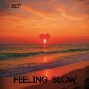 封面 DJ JEDY - Feeling Slow DJ JEDY - Feeling Slow