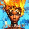 封面 MD Dj - Fire Burn MD Dj - Fire Burn