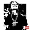 封面 D. Savage - Slow Rise D. Savage - Slow Rise