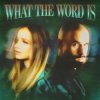 封面 Jackie Hollander & Malóne & Baby Bash - What The Word Is Jackie Hollander & Malóne & Baby Bash - What The Word Is