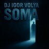 封面 Dj Igor Volya - SOMA Dj Igor Volya - SOMA
