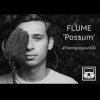 封面 Flume - Possum Flume - Possum