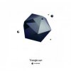 封面 Triangle Sun - Back to Infinity(Instrumental) Triangle Sun - Back to Infinity(Instrumental)
