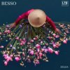 封面 Besso - Zelda Besso - Zelda