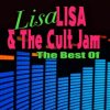 封面 Lisa Lisa & Cult Jam - Lost in Emotion (Singalong Version) Lisa Lisa & Cult Jam - Lost in Emotion (Singalong Version)
