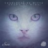 封面 Charlotte De Witte - This Charlotte De Witte - This