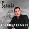 Владимир Курский - Доля
