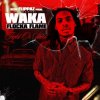 封面 Waka Flocka Flame - Introduction Fight Waka Flocka Flame - Introduction Fight