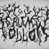 封面 Salem - Hollow Salem - Hollow