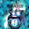 封面 Rexalted - Synthetic happiness Rexalted - Synthetic happiness