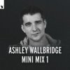 封面 Ashley Wallbridge - Mumbai Traffic (Armin van Buuren's Edit) Ashley Wallbridge - Mumbai Traffic (Armin van Buuren's Edit)