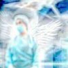 封面 Yabujin - SURGEON DOGMA Yabujin - SURGEON DOGMA