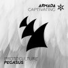 封面 Protoculture - Pegasus Protoculture - Pegasus