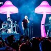 封面 Infected Mushroom - Mixed by G Light live mix from Exotica Gold Infected Mushroom - Mixed by G Light live mix from Exotica Gold