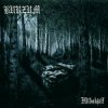 封面 Burzum - Ansuzgardaraiwô Burzum - Ansuzgardaraiwô