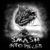 Cover Smash Into Pieces - Rockstar Smash Into Pieces - Rockstar