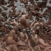 Sevdaliza - Amandine Insensible