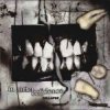 封面 In Strict Confidence - Burning Angel (Remix) In Strict Confidence - Burning Angel (Remix)