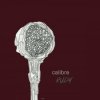 封面 Calibre - Flu jet Calibre - Flu jet