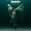 封面 Smash Into Pieces - Broken Halo Smash Into Pieces - Broken Halo