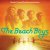 封面 The Beach Boys - Cotton Fields