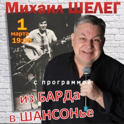 封面 Михаил Шелег - Упала звезда