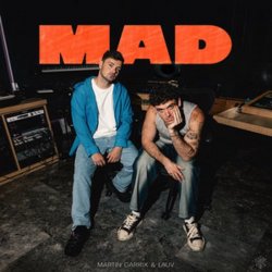 封面 Martin Garrix & Lauv - MAD (Dj Vianu Remix)