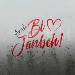 封面 Arash - Bi Janbeh