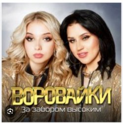 封面 Воровайки - Рожа протокольная